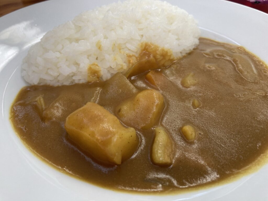 2024年夏合宿 3日目 養沢カレー